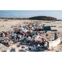 Source: Australian Marine Conservation Society
