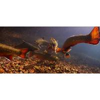 Source: Inspired Planet