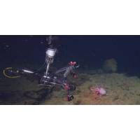 Source: MBARI