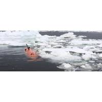 Source: University of Gothenburg