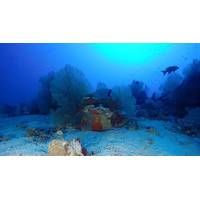 Source: University of Plymouth