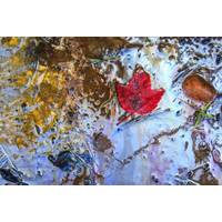 Oil Spill SHS PHOTOGRAPHY; AdobeStock