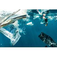 A new study shows cross-country collaboration in tackling marine plastic pollution could yield significant economic and environmental returns. Credit: Plymouth Marine Labs
