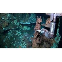 ROV SuBastian pilots collect a geologic sample from a hydrothermal vent chimney nearly 3,890 meters (2.4 miles) deep. Scientists discovered two new hydrothermal vent fields in one of the least explored areas of the Atlantic Ocean, the Doldrums Megatransform and Fracture Zone. This large, tectonically active system cuts across the Mid-Atlantic Ridge, which forms the world’s longest mountain chain. These types of vent fields are rare because of their hybrid “plumbing” systems, featuring typical vo