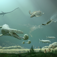 This marine scene shows an assortment of marine tetrapods that lived in Cretaceous oceans near the end of the "Age of Reptiles," including a sea turtle, an early flightless marine bird, a large mosasaur and a long-necked elasmosaur. (artwork by Karen Carr)