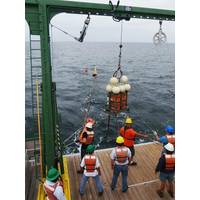 T-REX 2013: Photo credit ONR