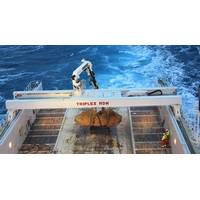 Triplex MDH: Photo credit Triplex