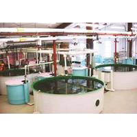 UWSP’s Northern Aquaculture Demonstration Facility (Photo: University of Wisconsin Stevens Point)