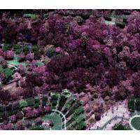 Vegetation discrimination using the new Optech Titan multispectral lidar sensor