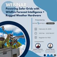 © R.M. Young Company