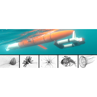 Zooglider (top) with a selection of zooplankton imagery the robot has captured. Top photo: Benjamin Whitmore