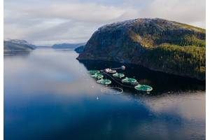 FiiZK fazcilities. Credit: FiiZK