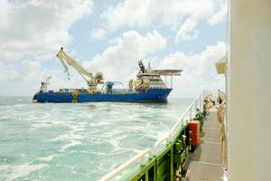 © I am from Mykolayiv / Adobe Stock