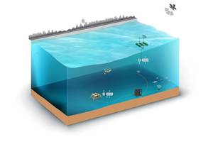 A graphic rendering depicting C-Power’s SeaRAY autonomous offshore power system as configured for the demonstration at the U.S. Navy’s Wave Energy Test Site in Hawaii. © C-Power