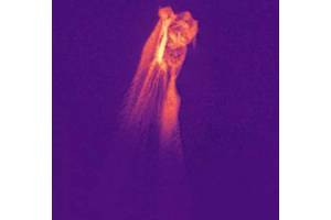 Image of a mosquito wing created with the quantum optical microscope. (Shabir Barzanjeh / University of Calgary)