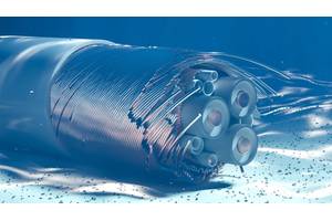 © katestudio / Adobe Stock