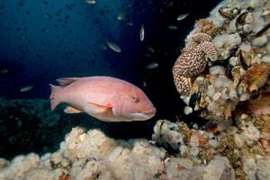 © kgrif / Adobe Stock