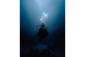 © Mary / Adobe Stock