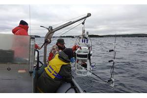 Members of Professor David Barclay’s lab deploy an underwater acoustic reader. Copyright: David Barclay