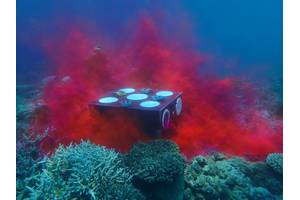 Rhodamine dye is a non-toxic tracer commonly used in aquatic systems to study water movement. In the seed box trial, rhodamine is used to understand patterns of water flow with sensors and drones. The dye helps (i) visualise how long water—and therefore larvae—stay in the area before dispersing, and (ii) track where and how quickly water (and larvae) move after release. Image: G Carlin/CSIRO