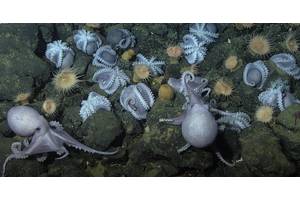 Source: MBARI