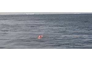 Source: University of Gothenburg