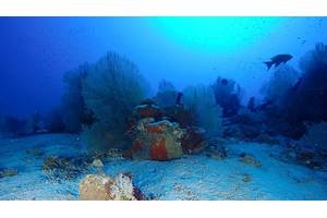 Source: University of Plymouth