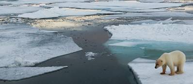 Arctic scene: Photo courtesy of UK Govt.