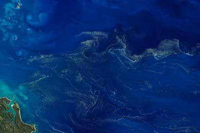Diazotroph (Trichodesmium) bloom in the Coral Sea, captured on 1 September 2019 by the Landsat 8 satellite. The interaction between the physics and biology of the ocean is manifested in these green filaments that snake through the currents. Joshua Stevens/NASA, CC BY