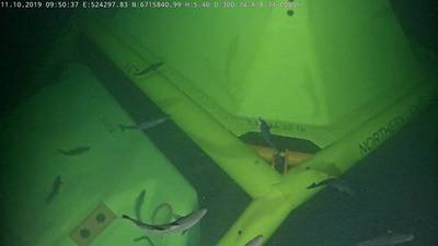 The Northern Lights template on the seabed. The Northern Lights carbon capture and storage (CCS) project, is Equinor's partnership with Royal Dutch Shell and Total, (Photo: Equinor)