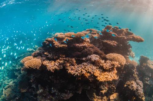 © Aaron / Adobe Stock