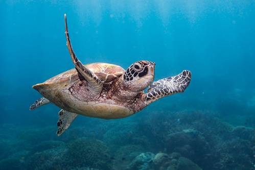 © Mark / Adobe Stock