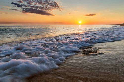 © Adobe Stock/alexmu