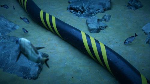 © Adobe Stock/Negro Elkha