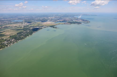 An aerial photo of the green waters of harmful algal bloom in western Lake Erie, July 20, 2020.  (Image credit: Courtesy of Zachary Haslick, Aerial Associates) 