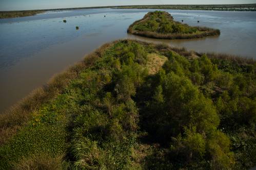 Aerial view of Louisiana shoreline (Photo: NOAA)