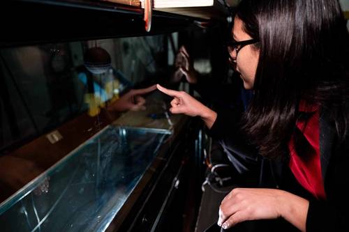 Anchal Sareen observes a 3D printed sphere suspended in a wind tunnel during testing. Image credit: Jeremy Little, Michigan Engineering