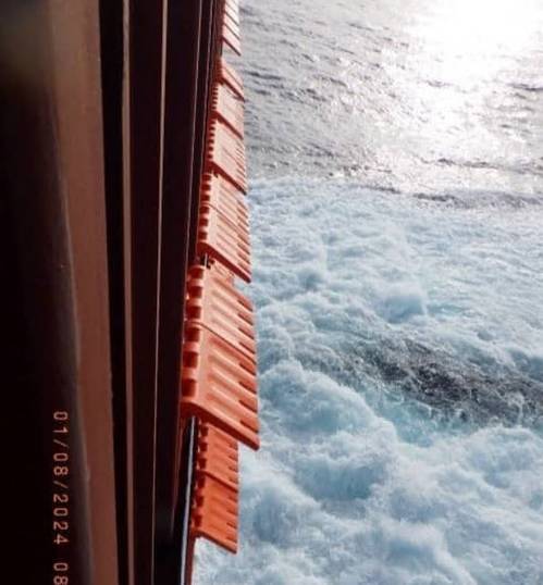 Anti-PIracy Barriers used on a large container liner (Source: Palaemon Maritime)
