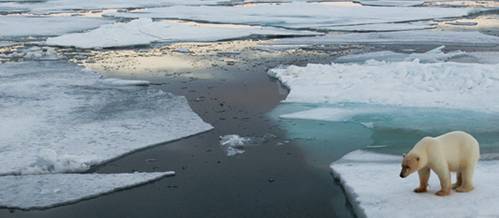 Arctic scene: Photo courtesy of UK Govt.