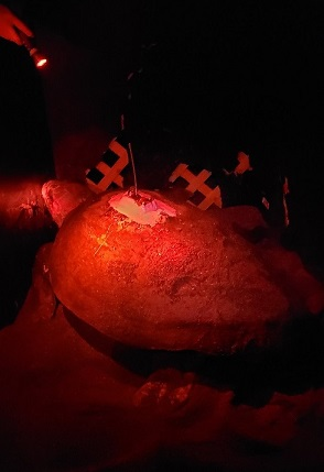 Attaching an Argos GPS beacon to a turtle’s shell (Photo: NYK Line) 