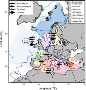 Basins or sub-basins (color-shaded areas) and model domains (contours and numbers). Fish silhouettes correspond to broad fish groups. Map lines delineate study areas and do not necessarily depict accepted national boundaries. Credit: PML