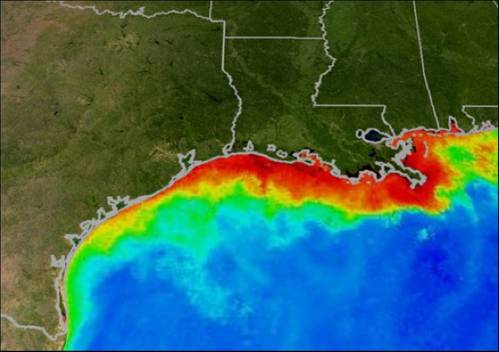 Computer modelled GofM Dead Zone: Image credit NOAA