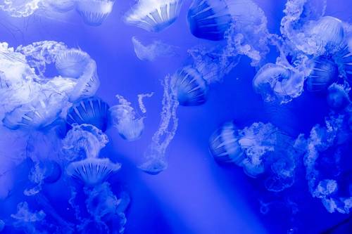 Copyright Agustin/AdobeStock