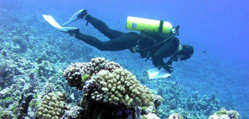 The 2016 coral reef grants and cooperative agreements issued by the NOAA Coral Reef Conservation Program include work to monitor the condition of reefs, promote reef resilience in the face of a changing climate, and enhance sustainable fisheries. (Credit: NOAA)