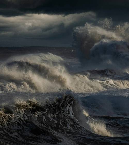 (Credit: Ray Bilcliff)