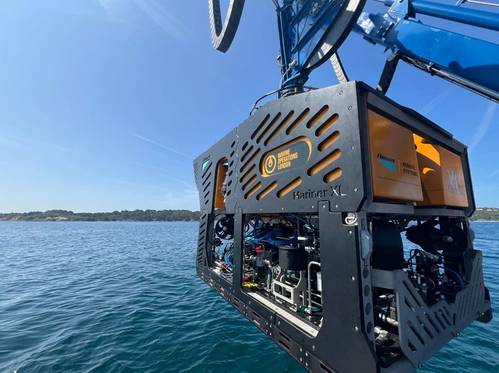 (Credit: Deep Ocean Search)
