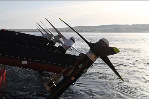 Credit: Sustainable Marine