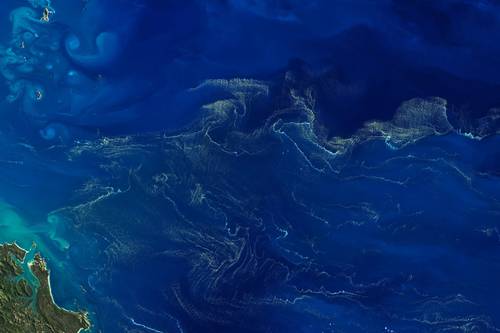 Diazotroph (Trichodesmium) bloom in the Coral Sea, captured on 1 September 2019 by the Landsat 8 satellite. The interaction between the physics and biology of the ocean is manifested in these green filaments that snake through the currents. Joshua Stevens/NASA, CC BY