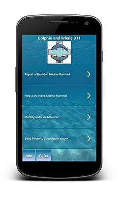 Dolphin & Whale 911 app: Image courtesy of NOAA Fisheries