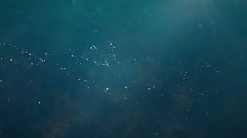 © dottedyeti / Adobe Stock